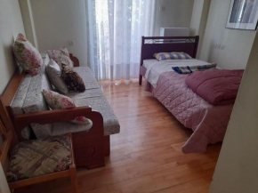 Ευρύχωρο και άνετο διαμέρισμα
